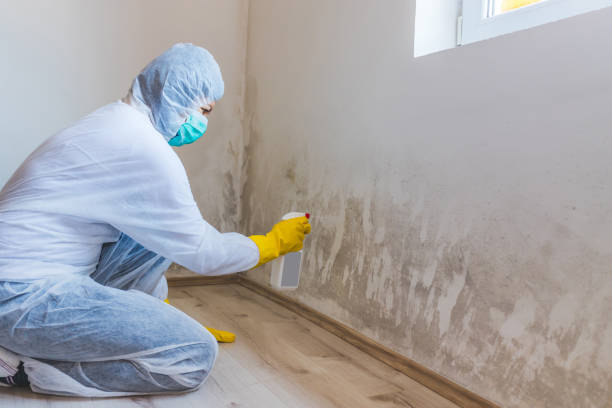 Licensed Mold Inspection And Testing service in Leesburg, VA - Car Mold Remediation