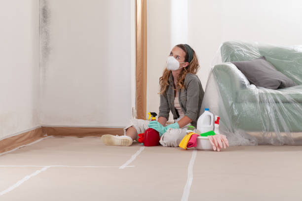 Reliable Mold Inspection And Testing contractor in Leesburg, VA by Car Mold Remediation
